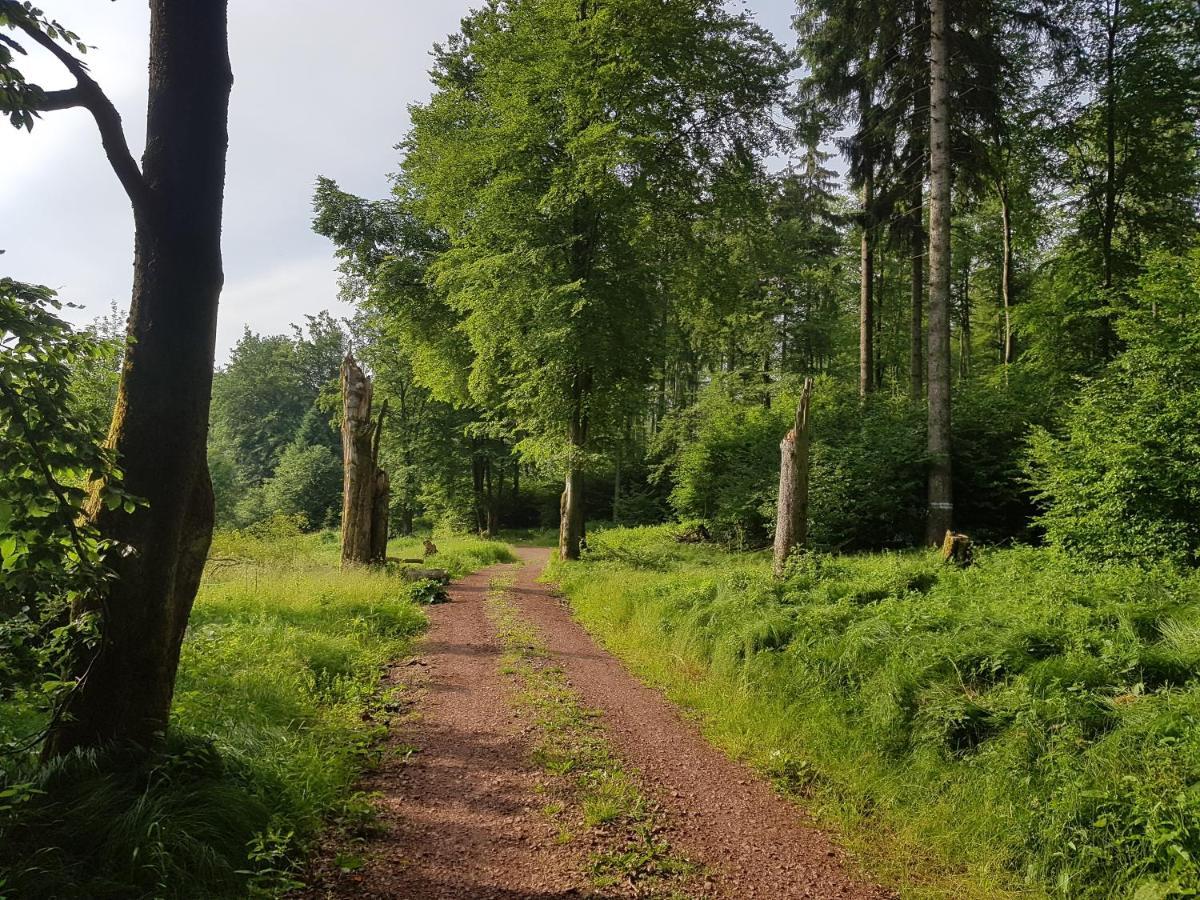 Ferienwohnungen.Ruhla Zewnętrze zdjęcie