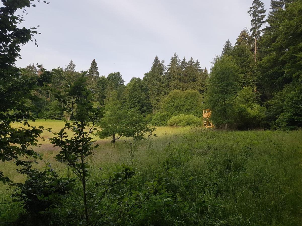 Ferienwohnungen.Ruhla Zewnętrze zdjęcie