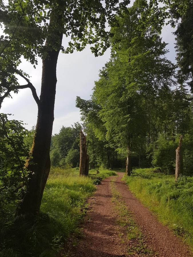 Ferienwohnungen.Ruhla Zewnętrze zdjęcie